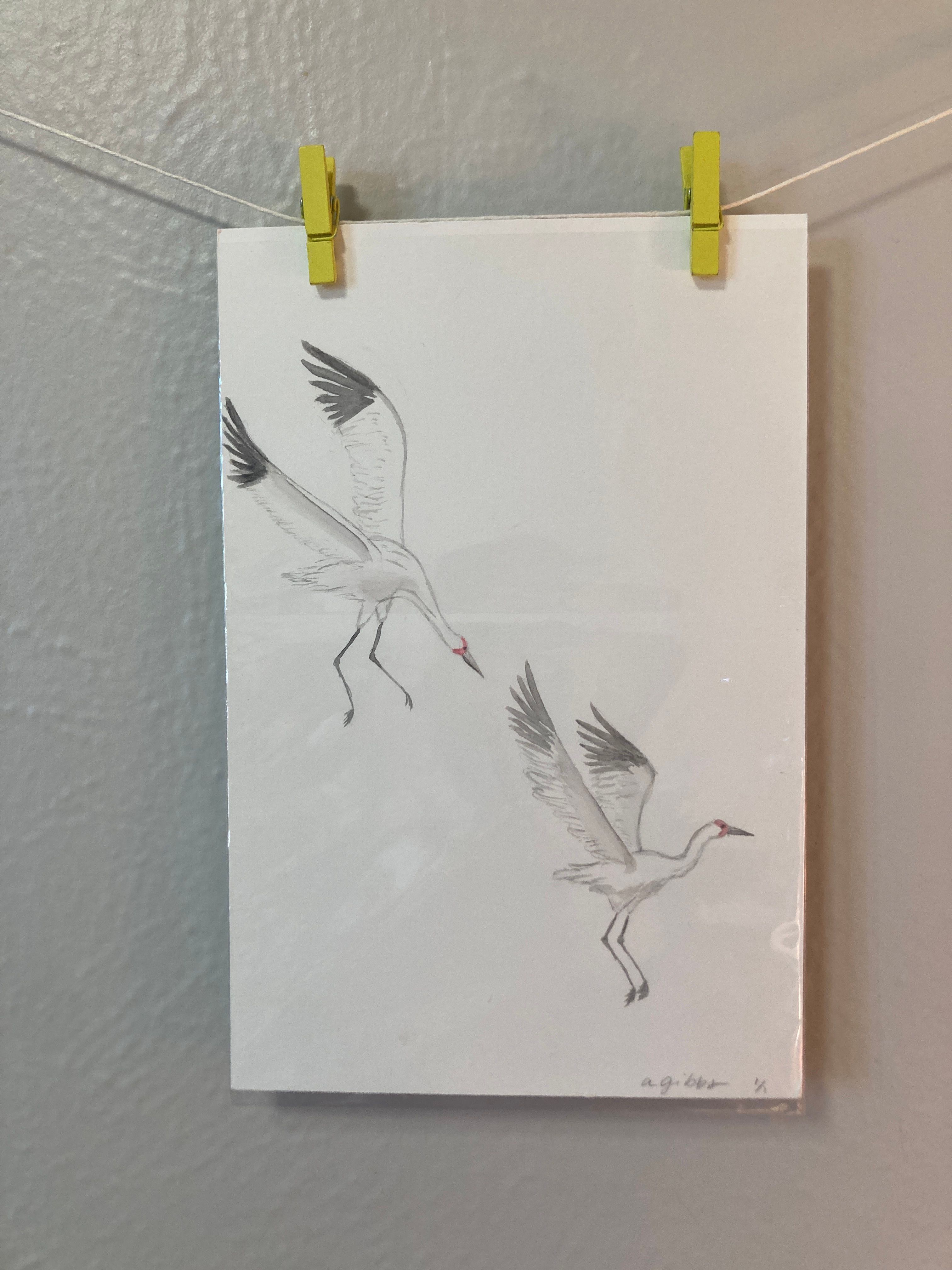 Watercolor Whooping Cranes