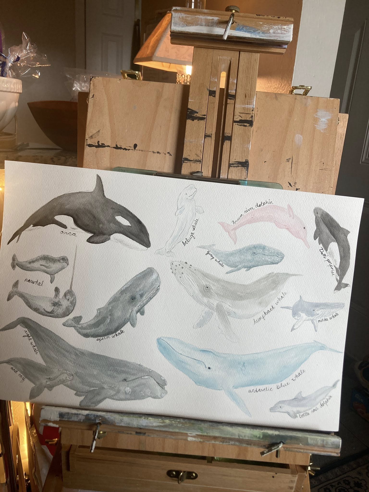 Whale Week