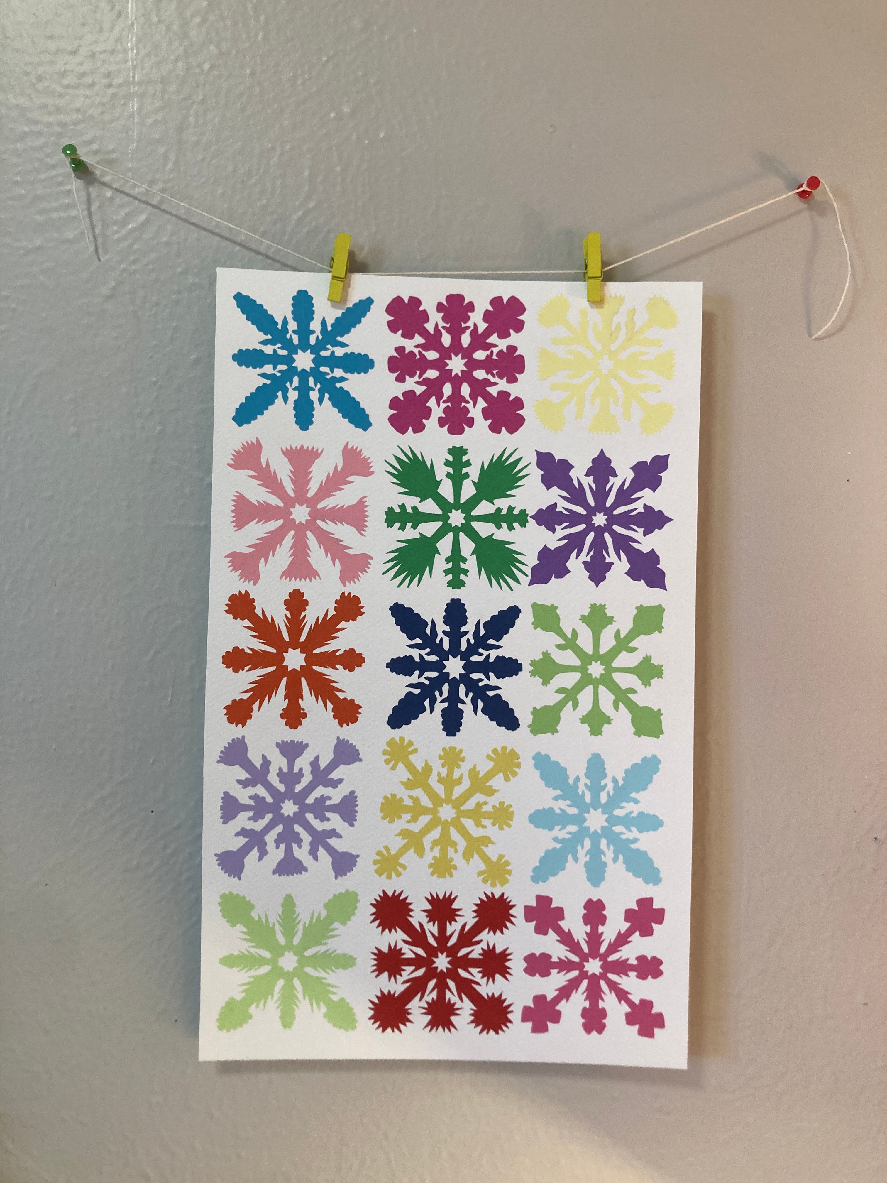 Wildflower 15
