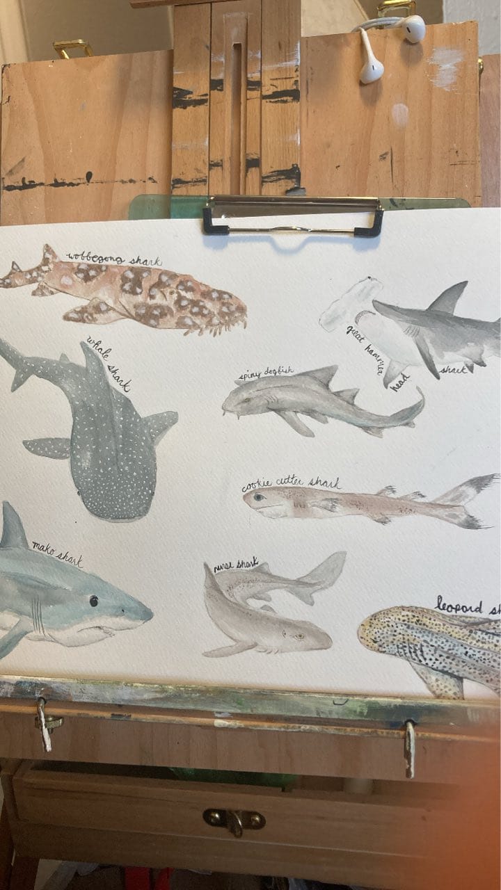 Shark Week