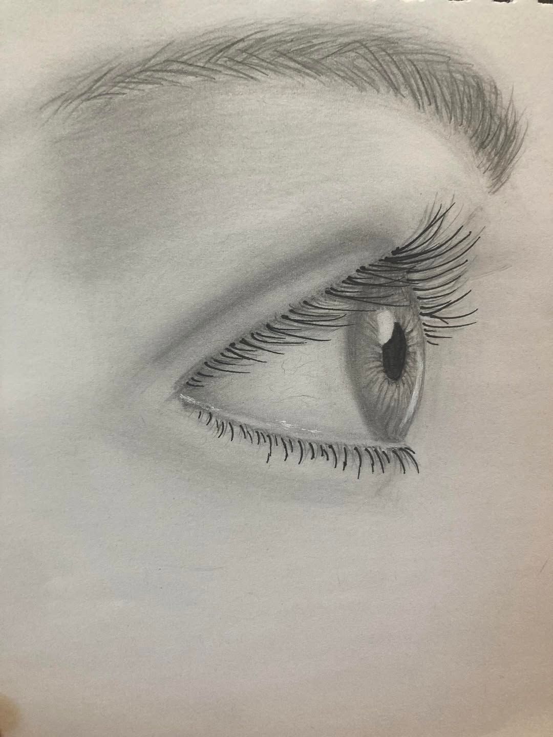 Eye, Profile